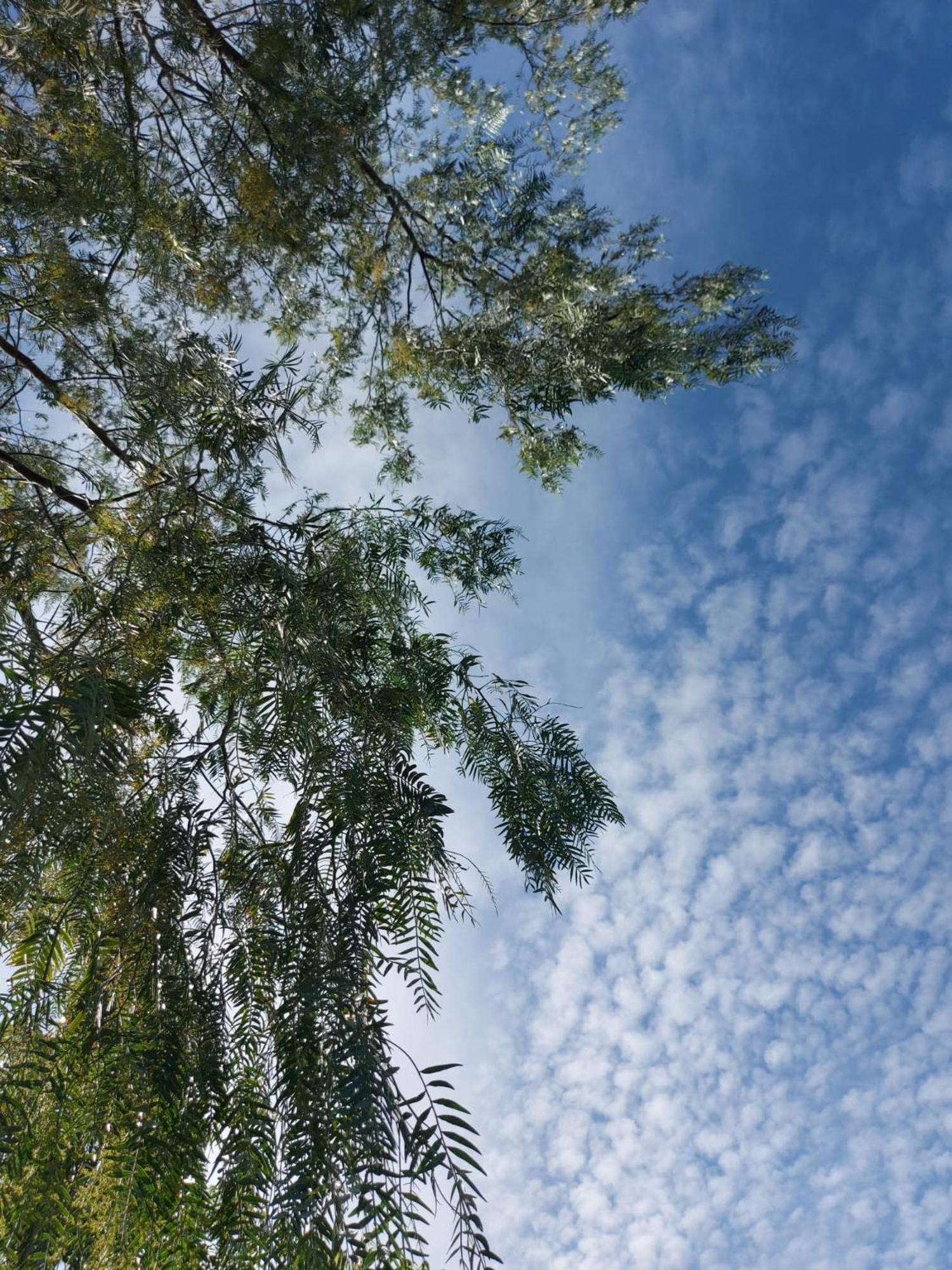 Villa Nadira จีอาร์ดีนี นักซอส ภายนอก รูปภาพ